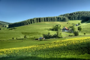 Ile kosztuje montaż klimatyzacji w Pruszkowie w 2025 roku? Porównanie ofert